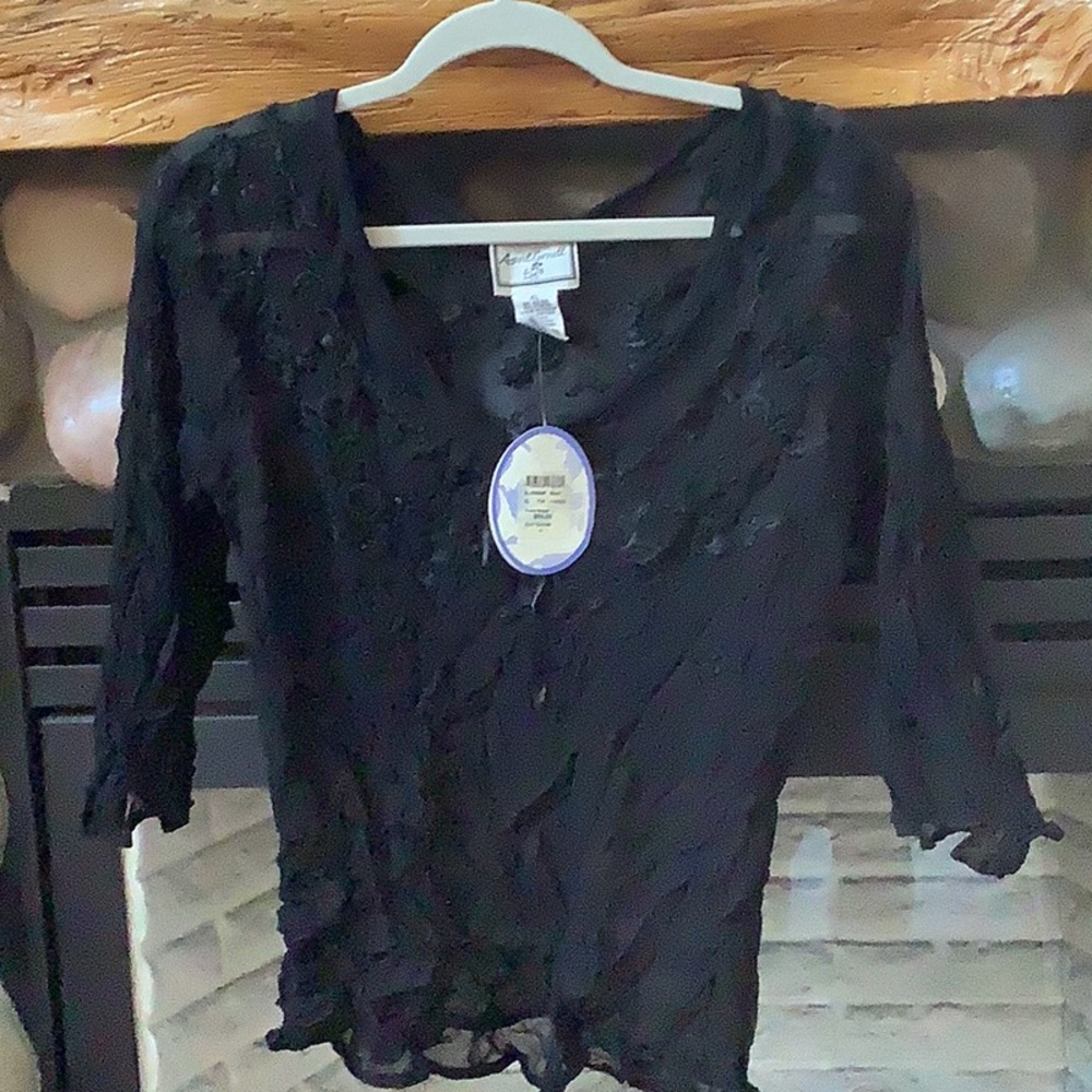 Feminine Sheer Lace Top NWT